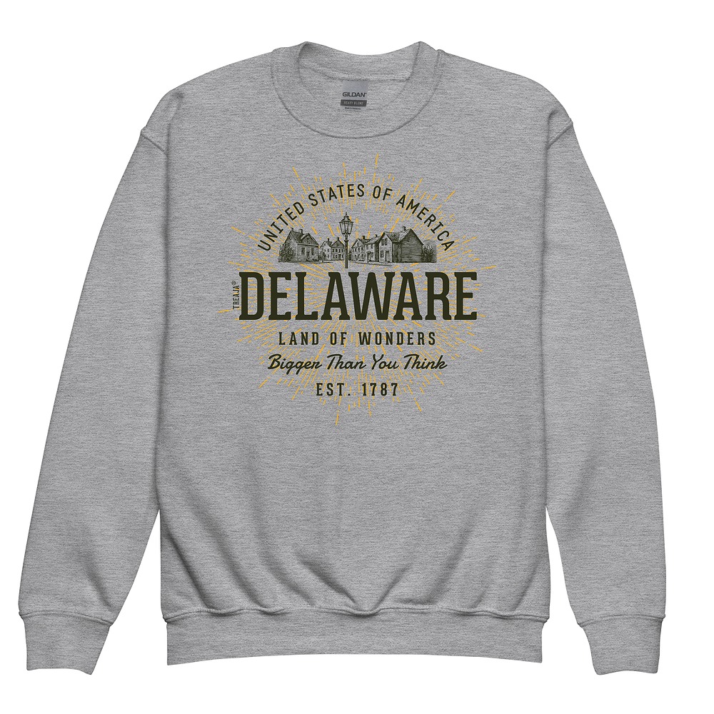 Youth crewneck sweatshirt featuring vintage-inspired Delaware state design in retro styling