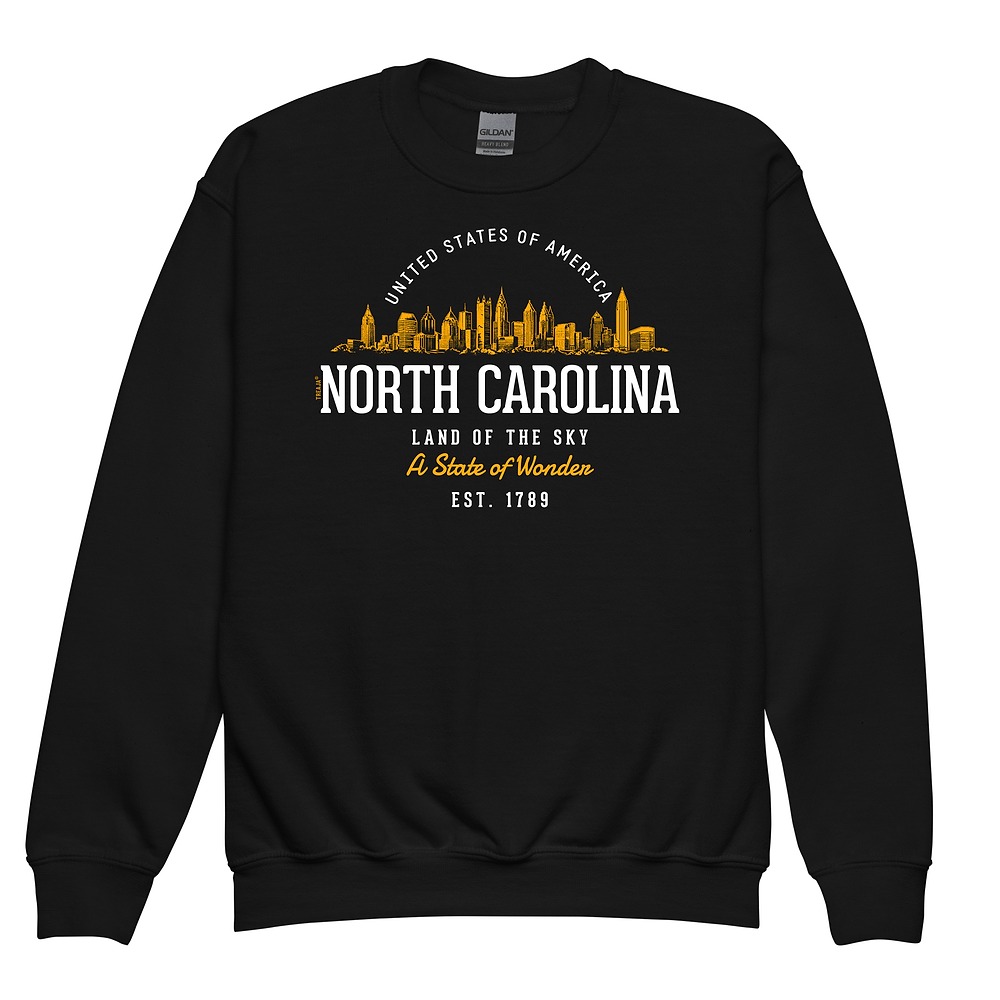 Youth crewneck sweatshirt featuring vintage-style North Carolina state design in classic retro colors