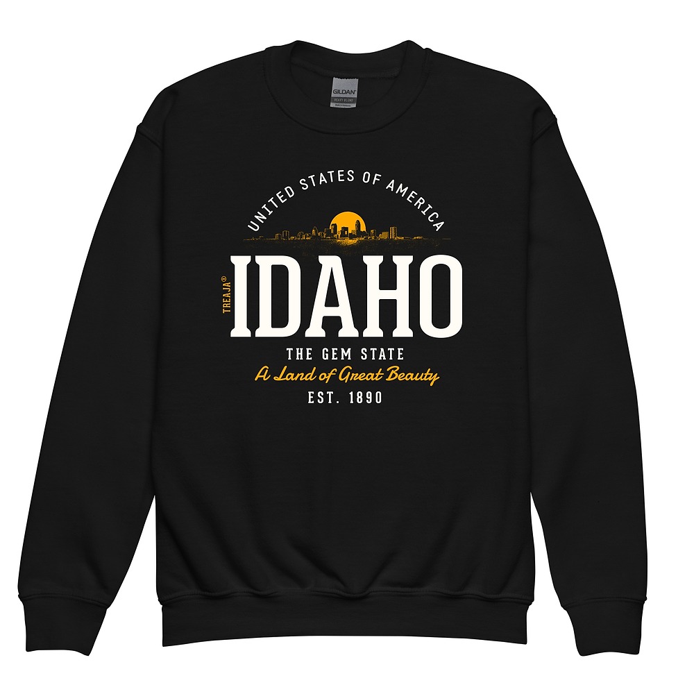 Youth crewneck sweatshirt displaying retro Idaho state design with vintage-inspired typography and mountain scenery graphics