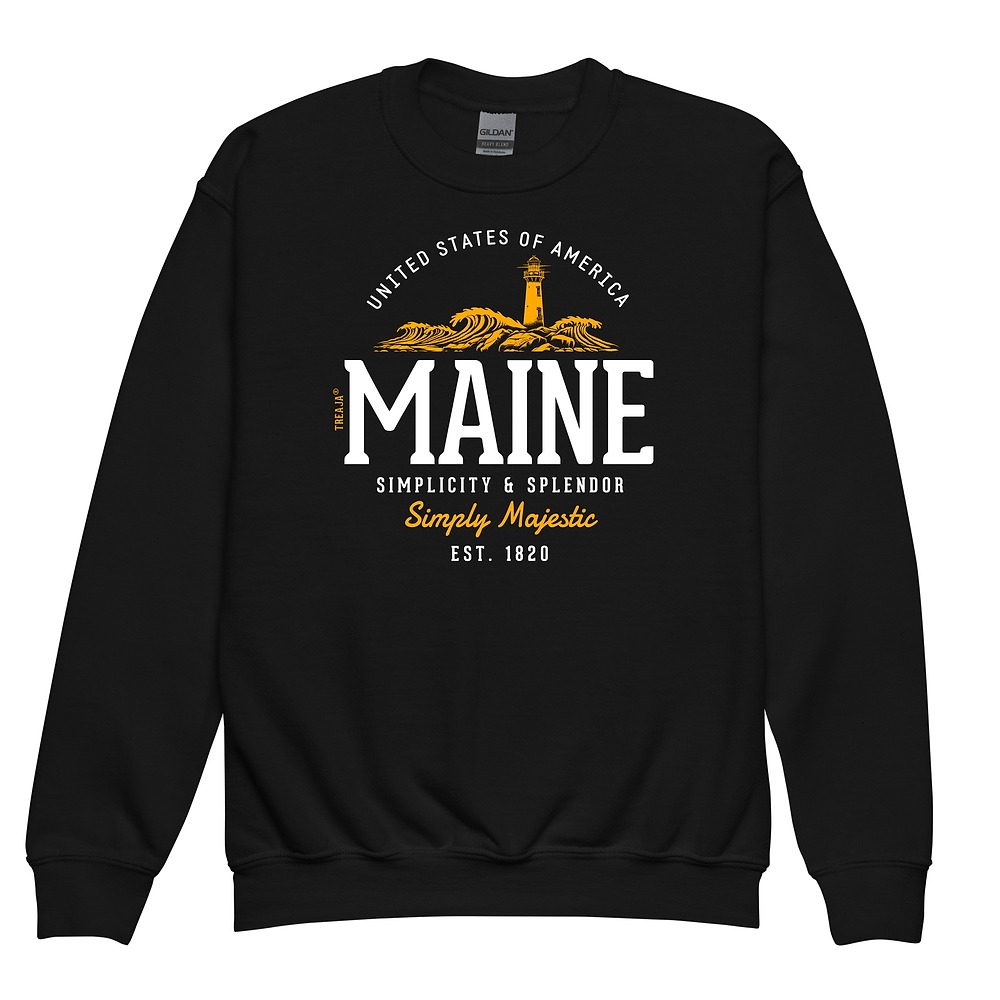 Retro Maine youth sweatshirt with vintage-inspired Pine Tree State design in warm colors