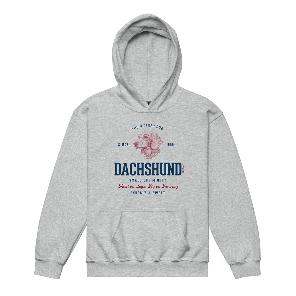 Youth pullover hoodie displaying vintage-inspired dachshund artwork in retro style with front pocket and lined hood