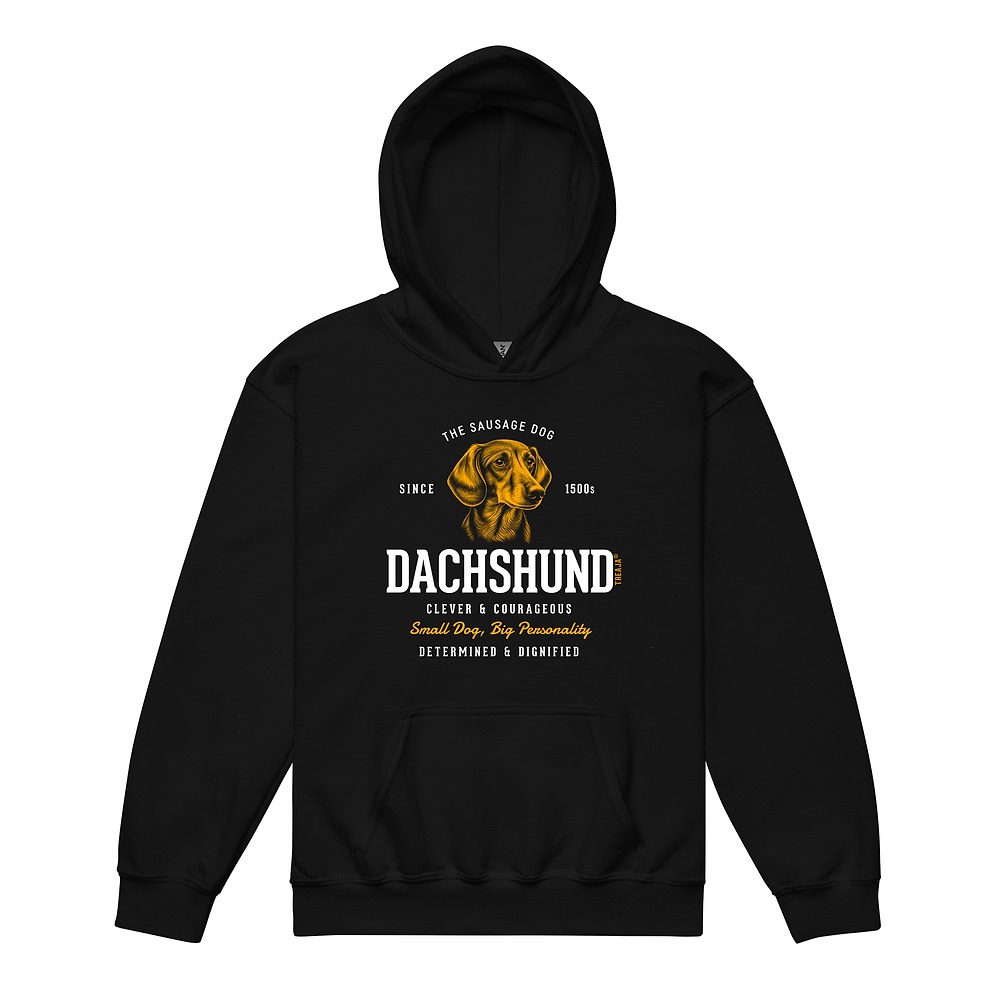 Youth pullover hoodie displaying vintage-style dachshund wiener dog artwork in retro colors
