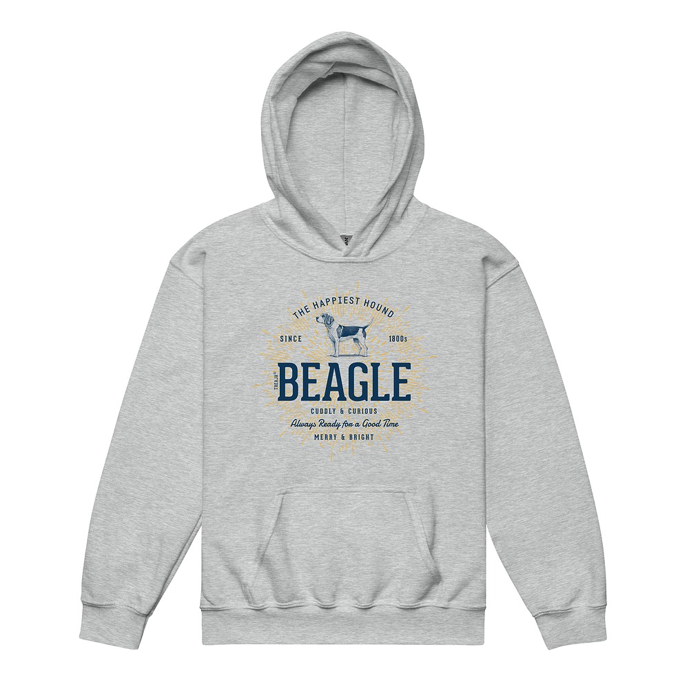 Youth pullover hoodie featuring vintage-style Beagle dog illustration in retro colors with front pocket