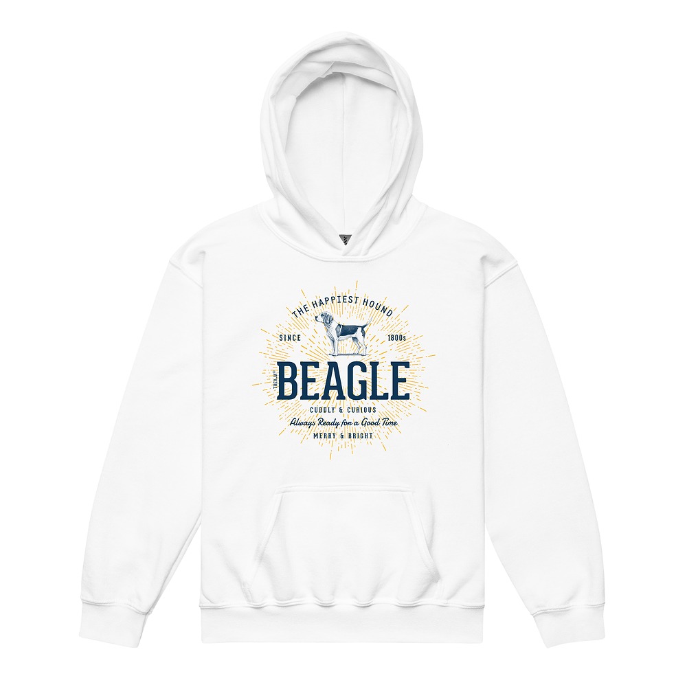 Youth pullover hoodie featuring vintage-style Beagle dog illustration in retro colors with front pocket