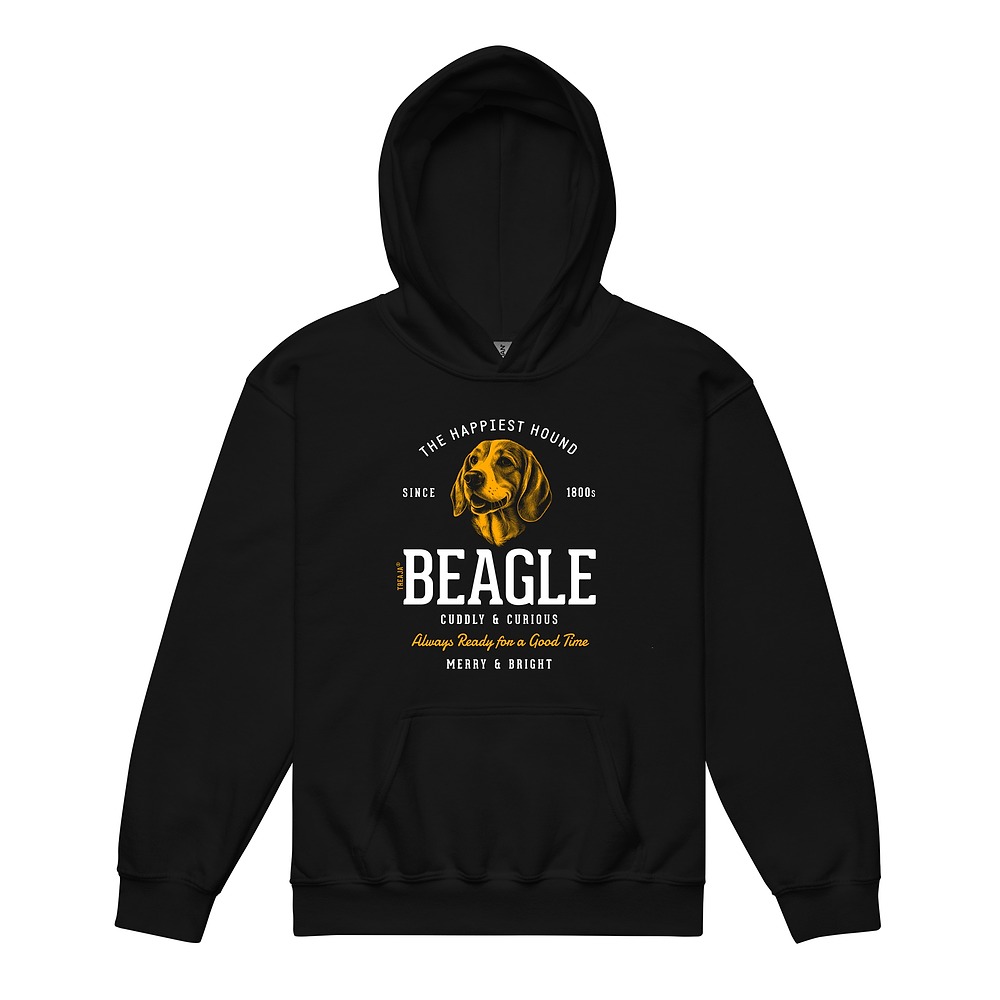Youth pullover hoodie displaying vintage-inspired Beagle dog artwork in retro style design