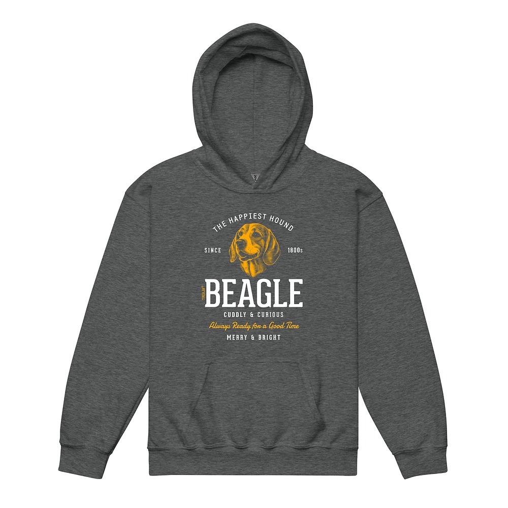 Youth pullover hoodie displaying vintage-inspired Beagle dog artwork in retro style design