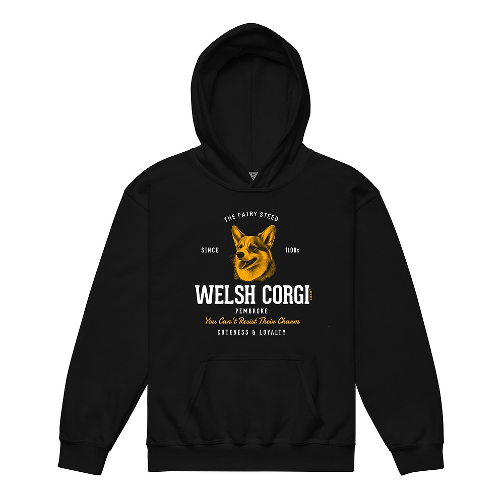 Youth hoodie with vintage-style Pembroke Welsh Corgi illustration in retro colors on soft fleece fabric