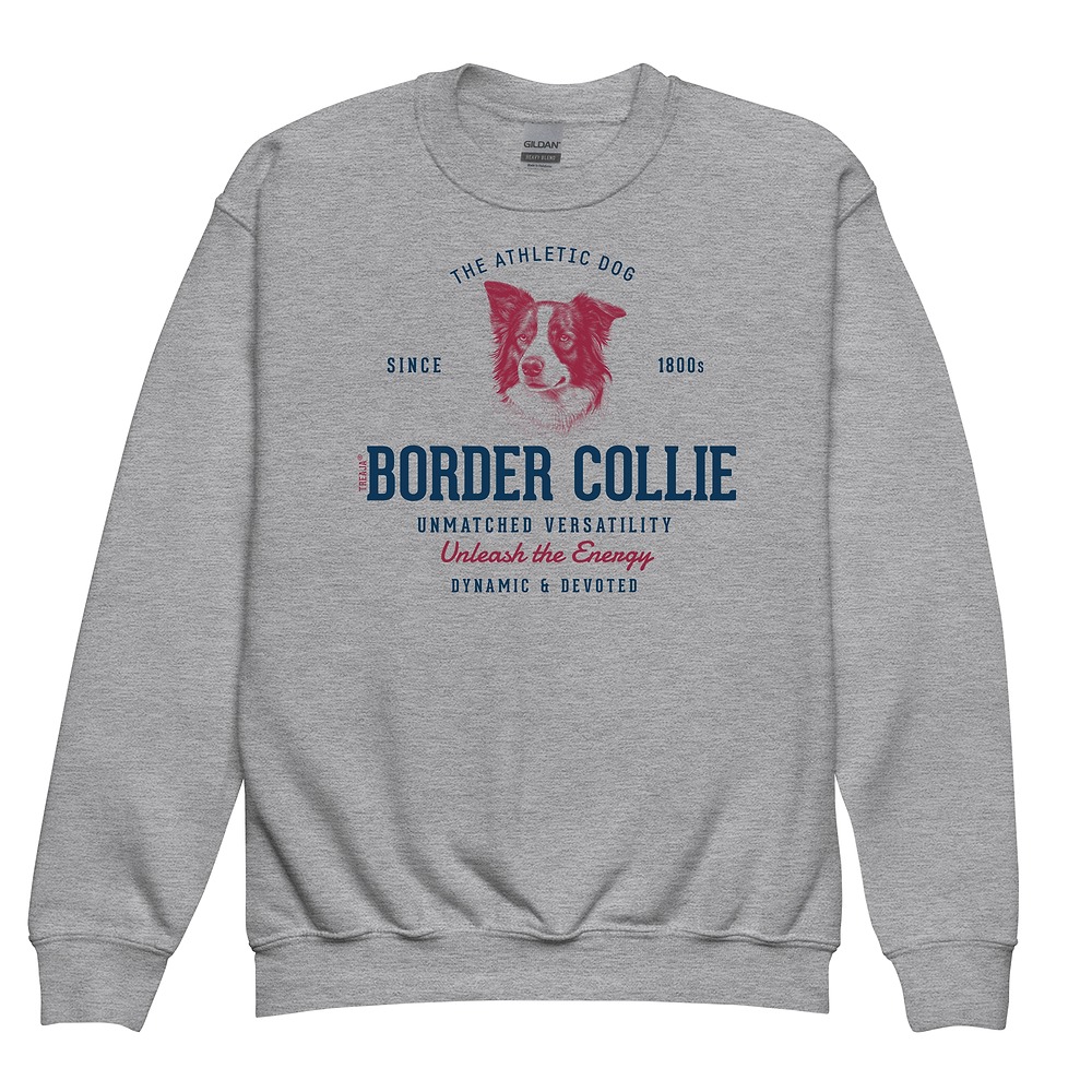 Youth crewneck sweatshirt featuring vintage-style Border Collie dog artwork with classic black and white coloring