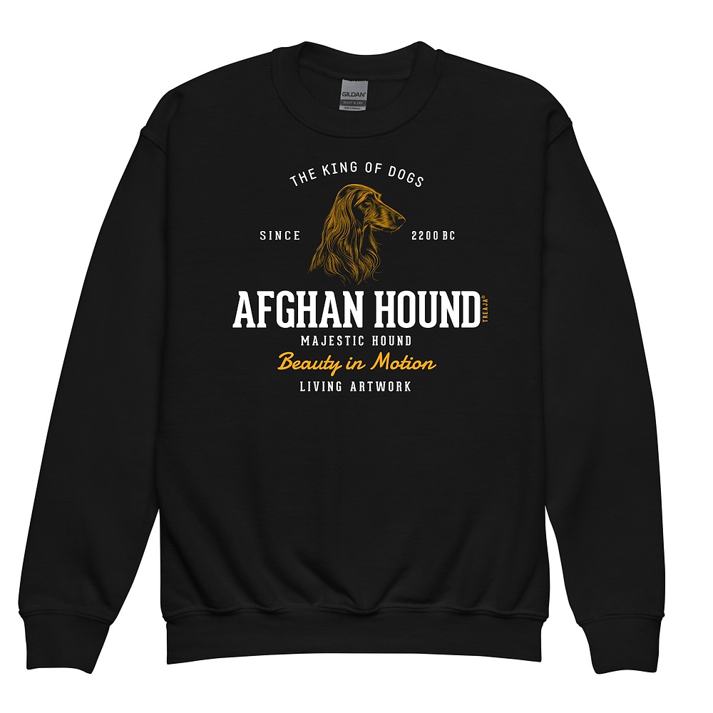 Youth crewneck sweatshirt displaying retro Afghan Hound artwork with elegant sighthound illustration in vintage-inspired style