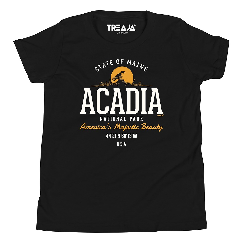 Youth unisex tee with vintage-style Acadia National Park graphic treatment