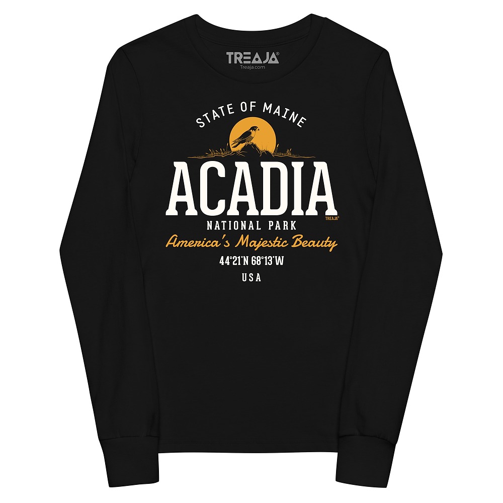 Acadia National Park vintage-style youth long sleeve shirt with distressed retro park artwork