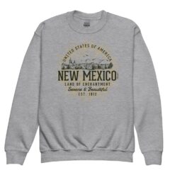 Youth crewneck sweatshirt featuring vintage-style New Mexico state design in retro colors