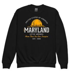 Youth crewneck sweatshirt with vintage-inspired Maryland state design in retro styling